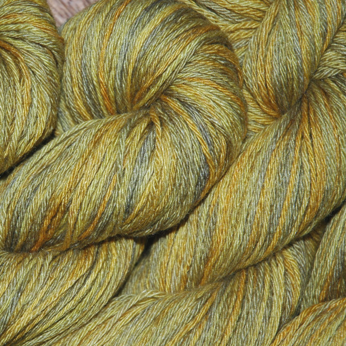 tashi / prairie